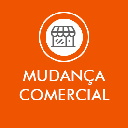 Ricardo Mudanças e Transportes - Mudança comercial